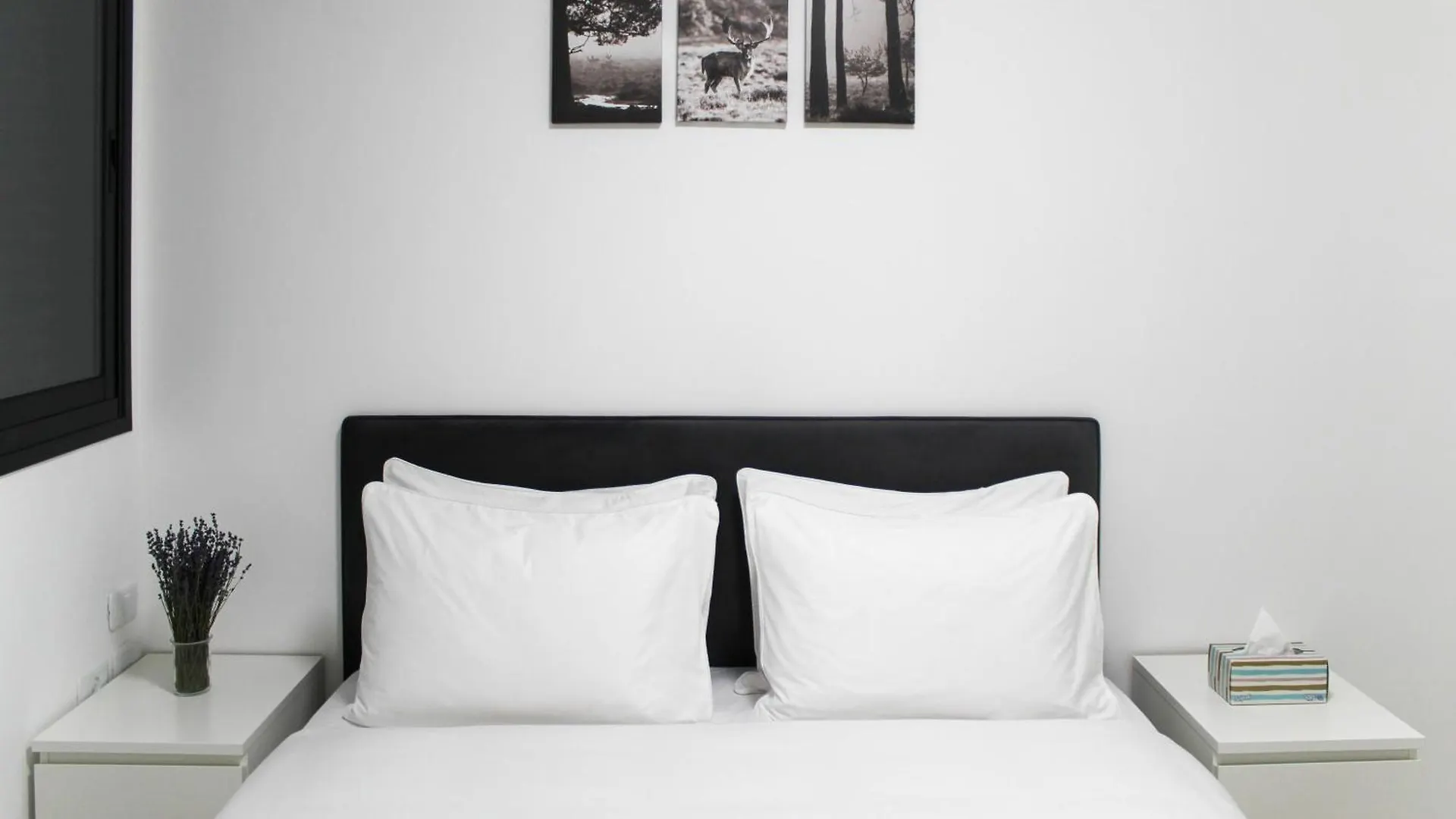 Luxury Suite Apartment #48 By Hashdera Eilat