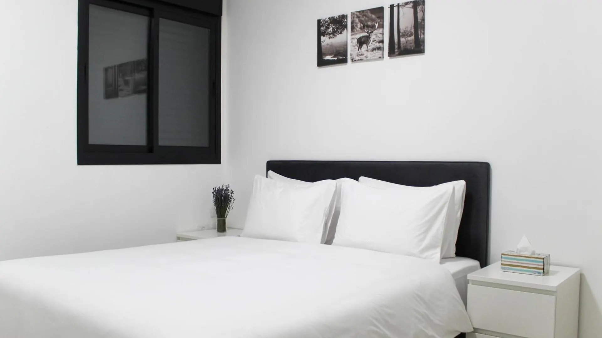Luxury Suite Apartment #48 By Hashdera Eilat Israel